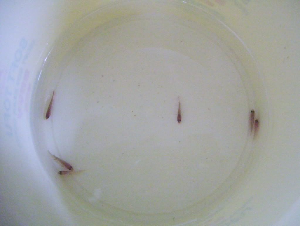 100_4173.jpg