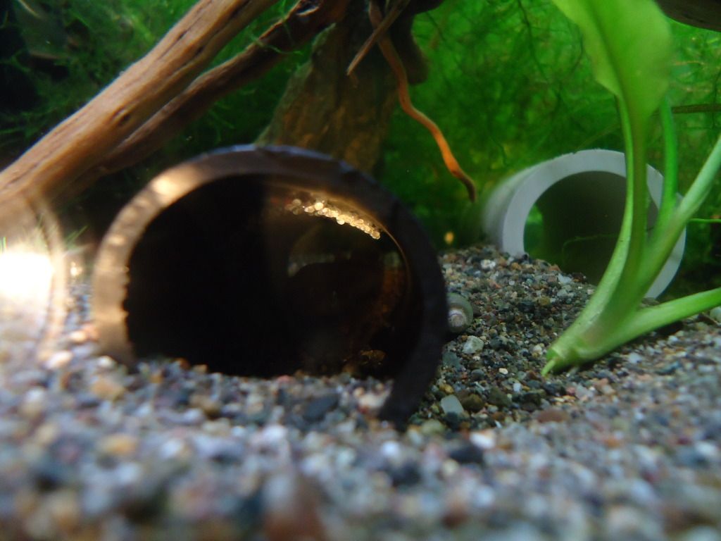 DSC09123.jpg