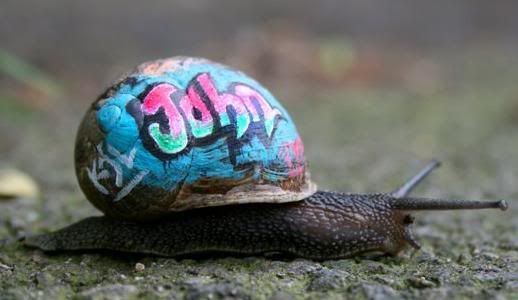 snailart.jpg