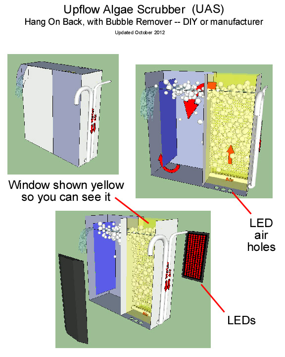 P6.jpg