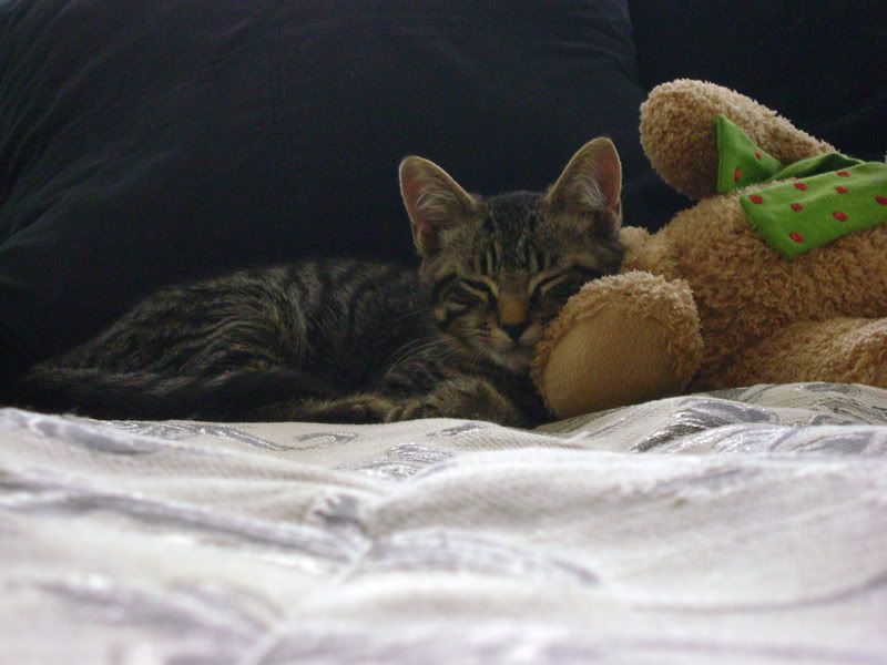 DSC00506.jpg
