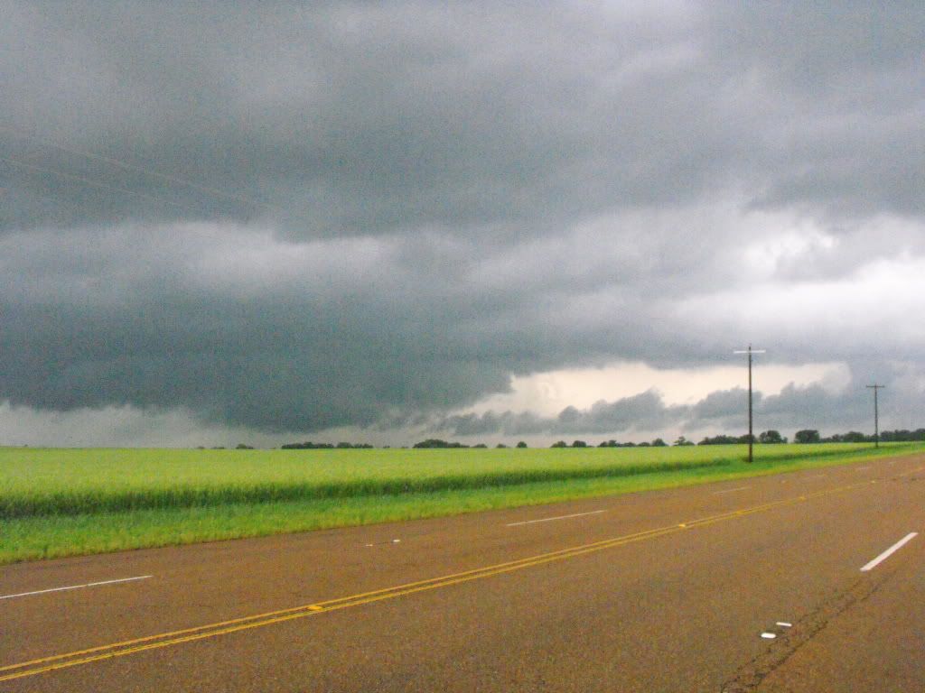 DSCF7336.jpg