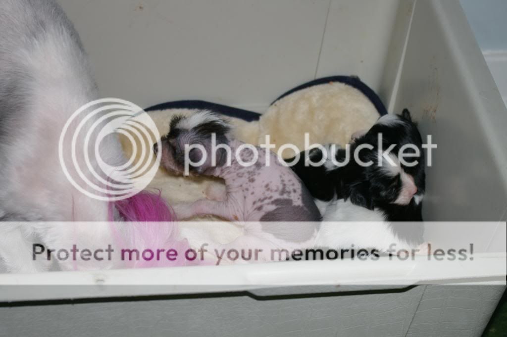 IMGP9076.jpg
