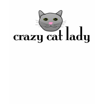 crazy_cat_lady_tshirt-p235264733134534000qiak_400.jpg
