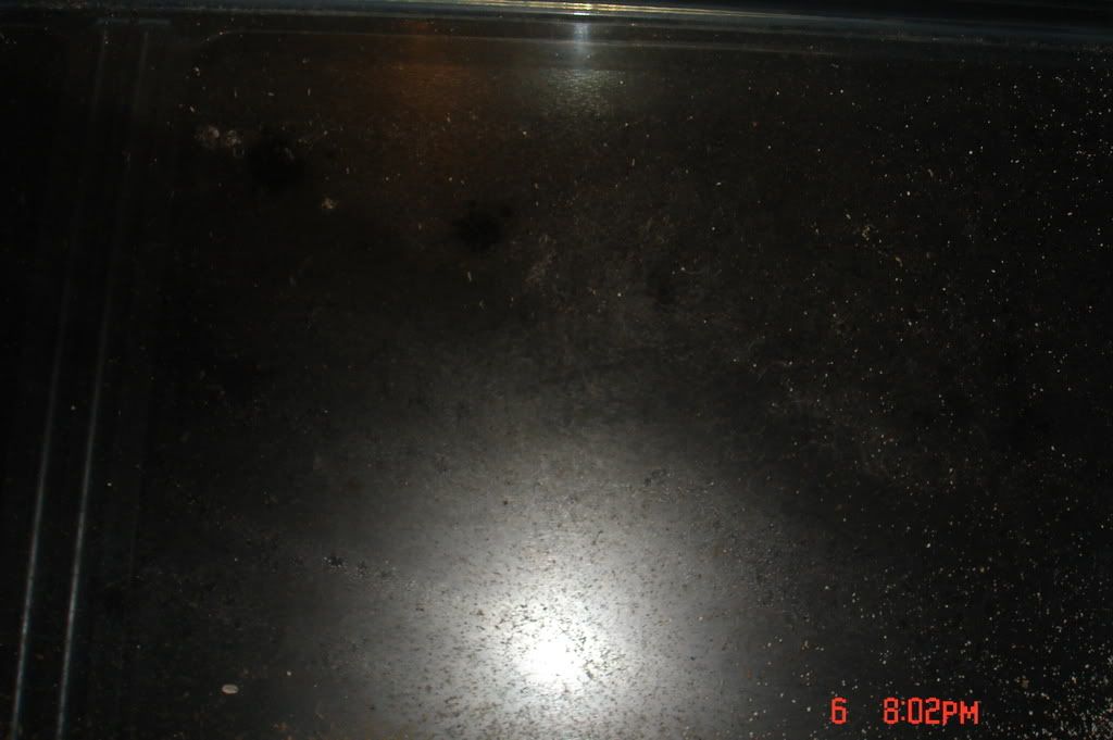 DSC01765.jpg