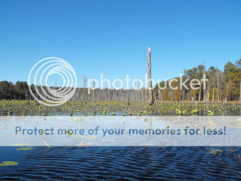 DSCF9025.jpg