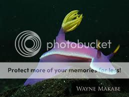 images-6.jpg