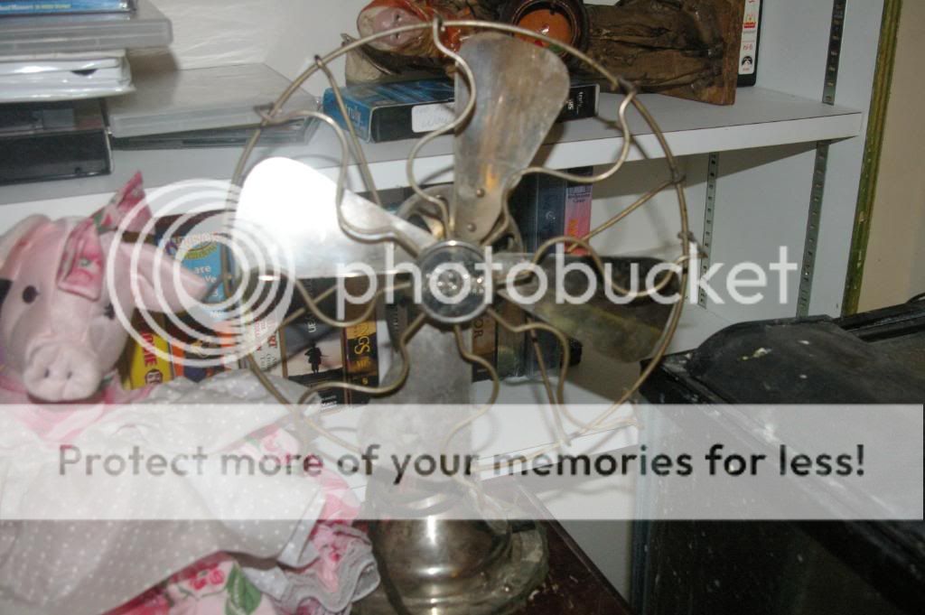 IMGP6740.jpg