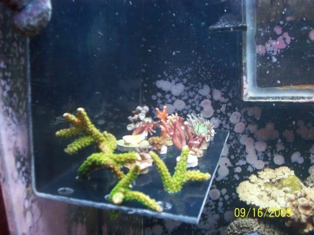 100_2258.jpg