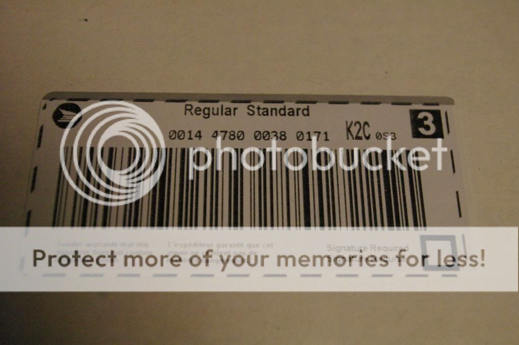IMGP7781.jpg