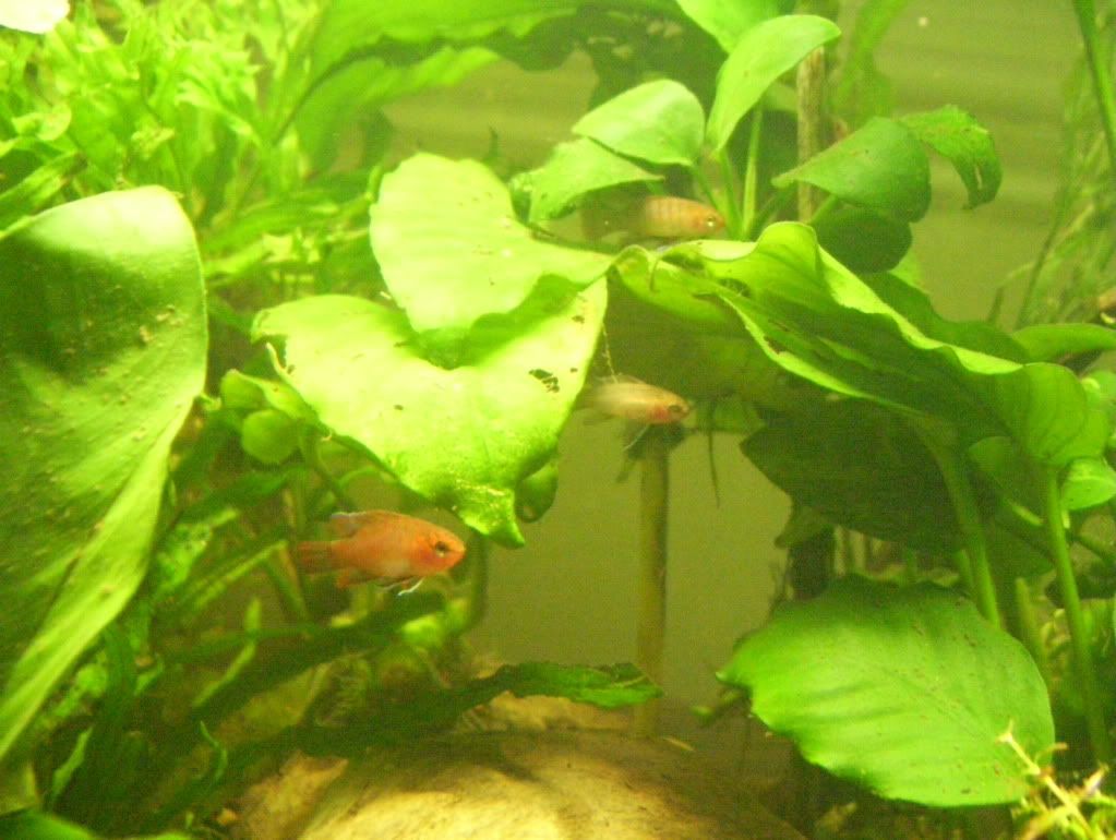 100_4649.jpg