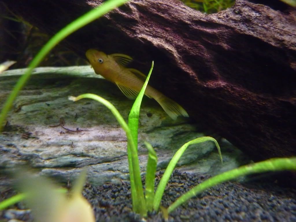 P1020942.jpg