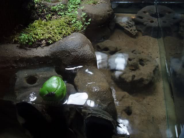 rockpool_640x480.jpg