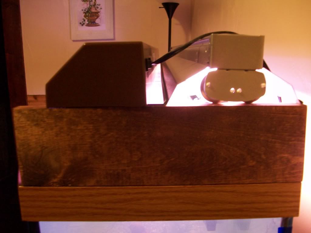 100_9536.jpg