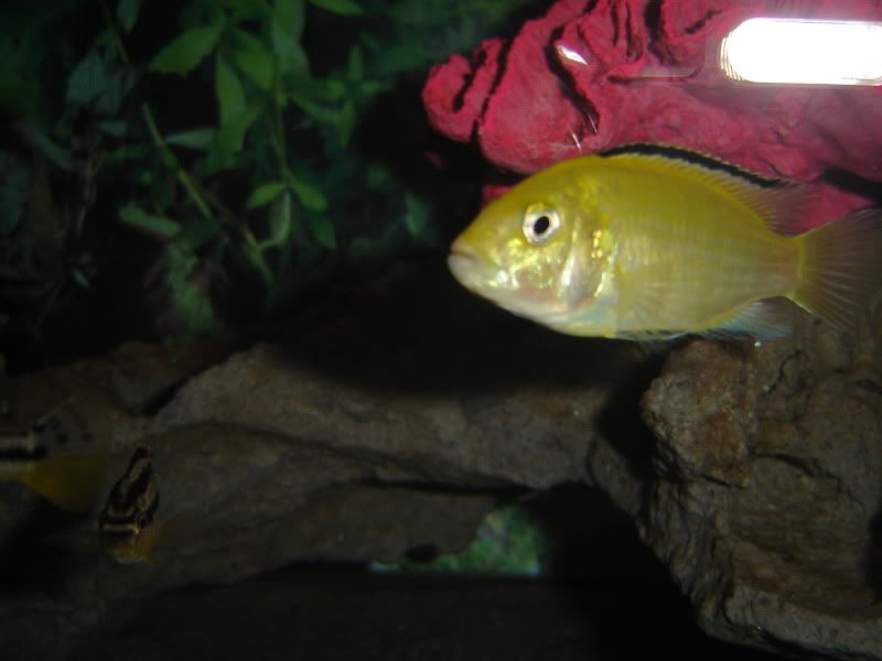 DSC03399.jpg