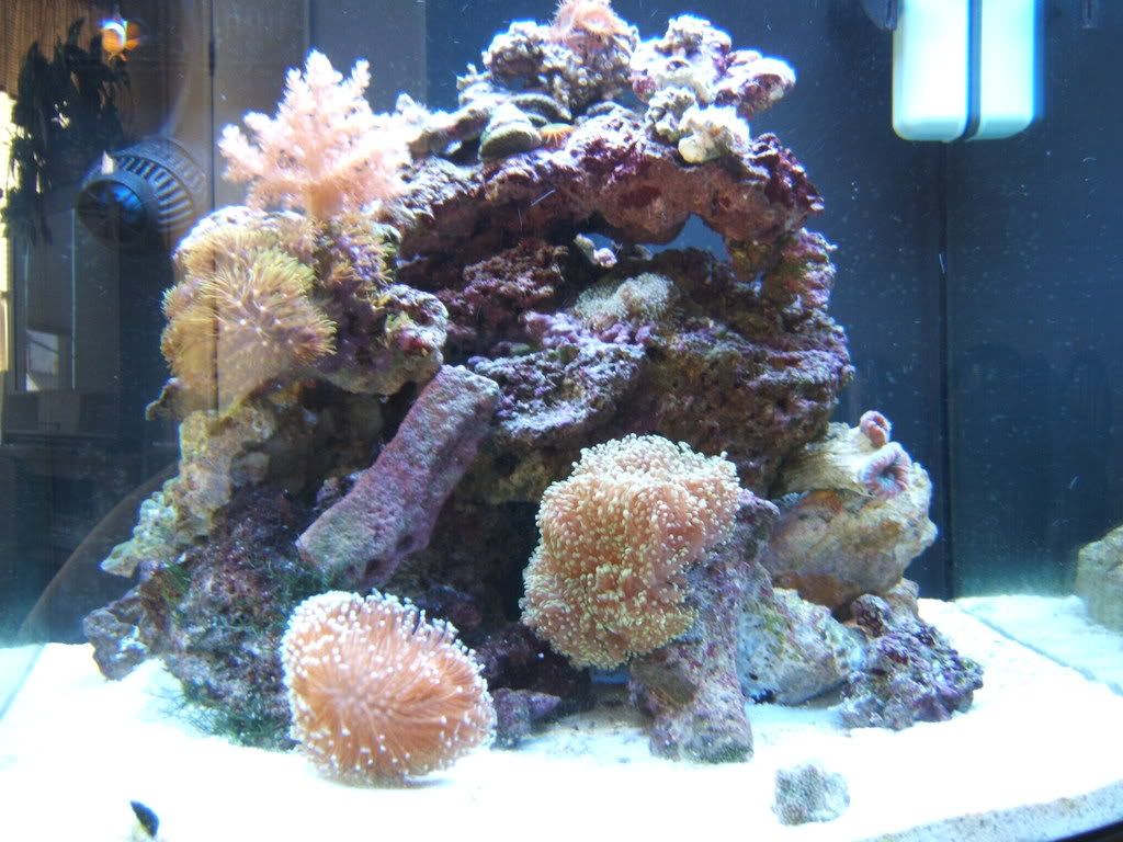 DSCF1667.jpg