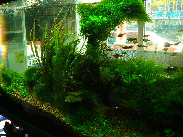 DSCN7791.jpg