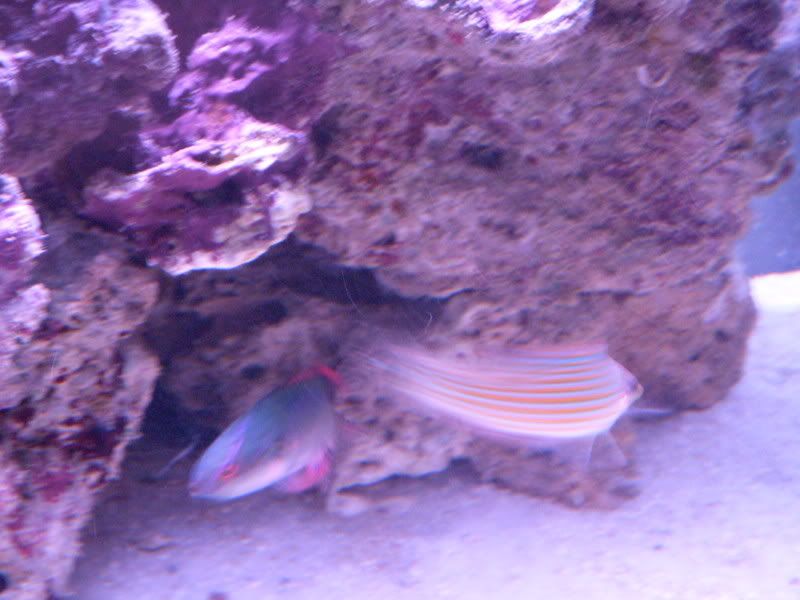 DSCN1719.jpg