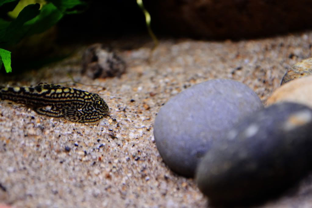 DSC_0496.jpg