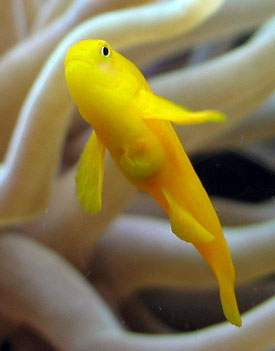 2319510665_87c0f11567_o.jpg