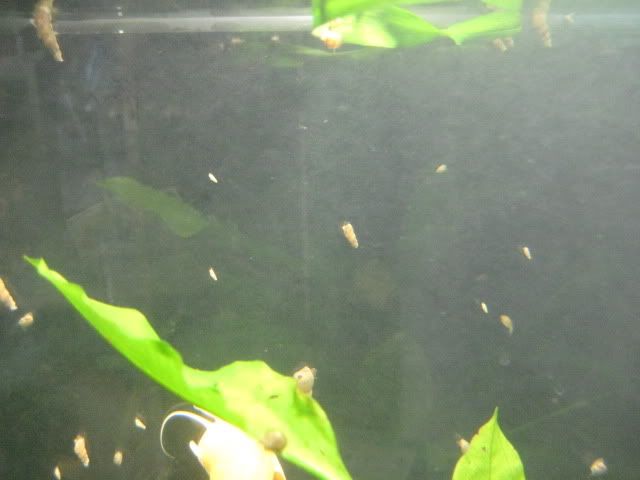 IMG_1604.jpg