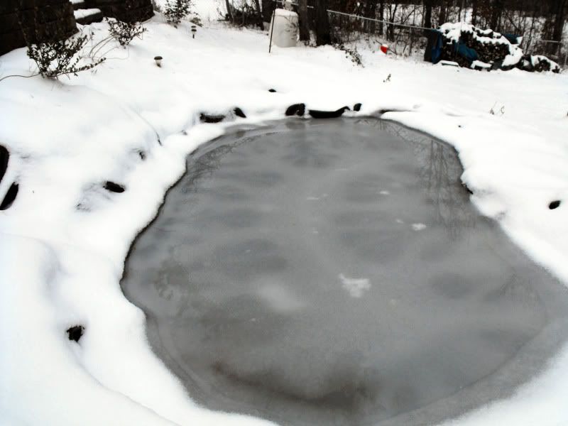 January2011007.jpg