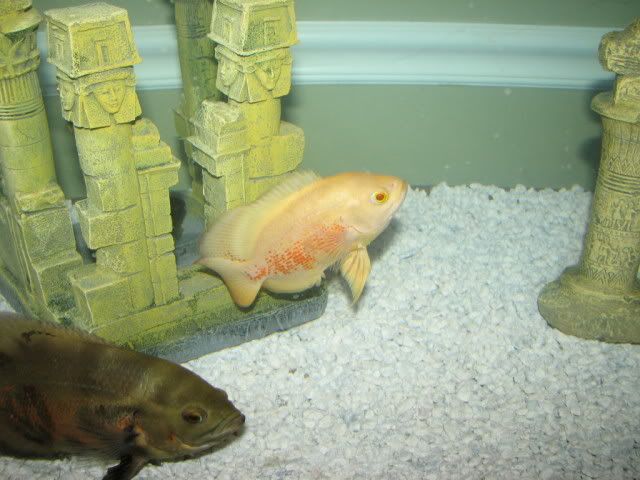 IMG_2749.jpg
