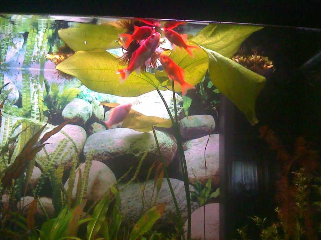 17-10-09_0758.jpg
