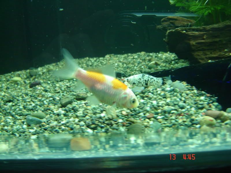 DSC03096.jpg