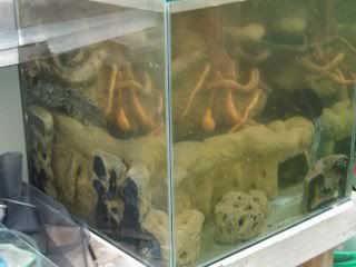 soaking_320x240.jpg