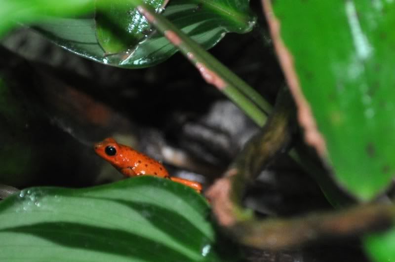 DSC_0139.jpg
