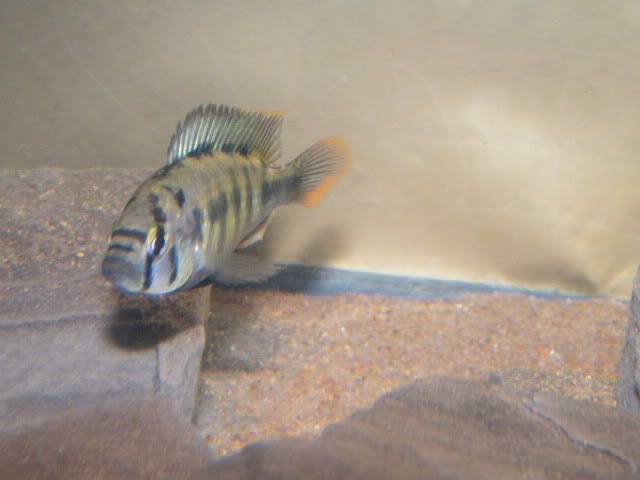 0901030112.jpg