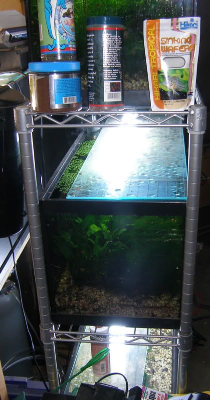 rack3.jpg