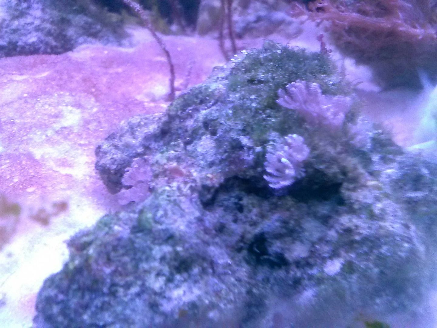 CAM00444.jpg