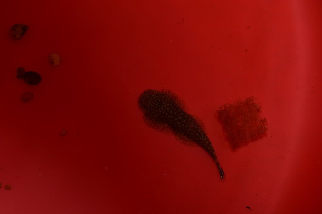 DSC_0443.jpg
