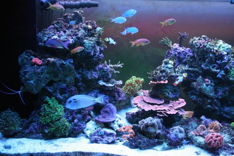 tankupdatefeb10038.jpg