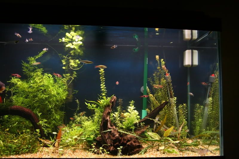 fishtank013.jpg
