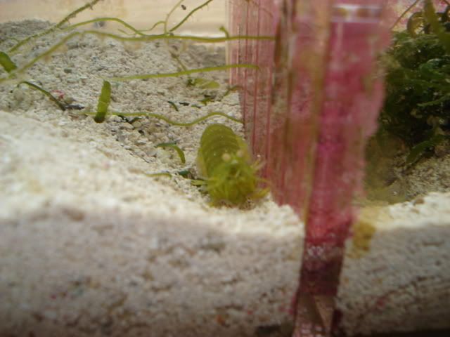 DSC01225.jpg