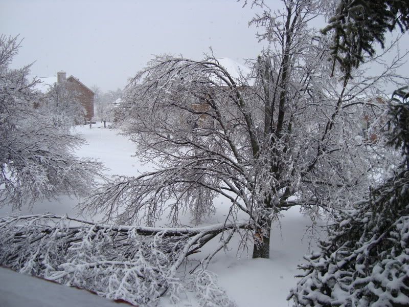 DSC00289.jpg