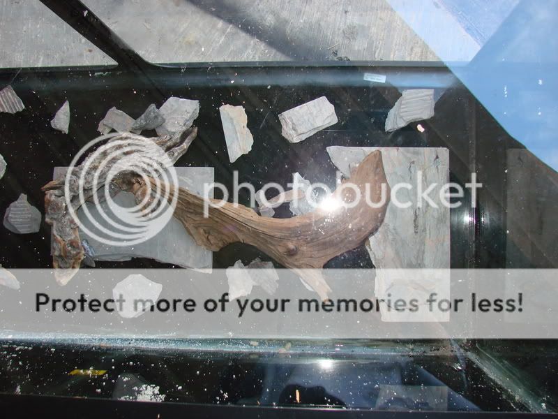 background005.jpg