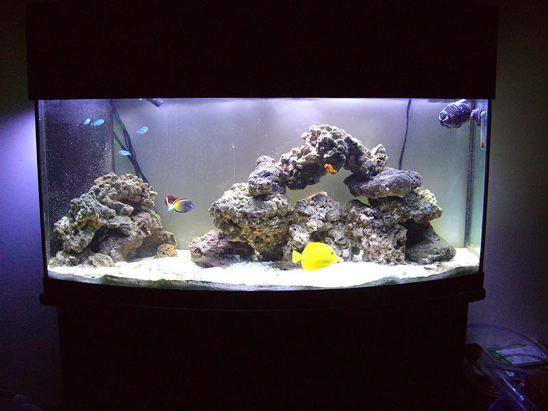 72g_1.jpg