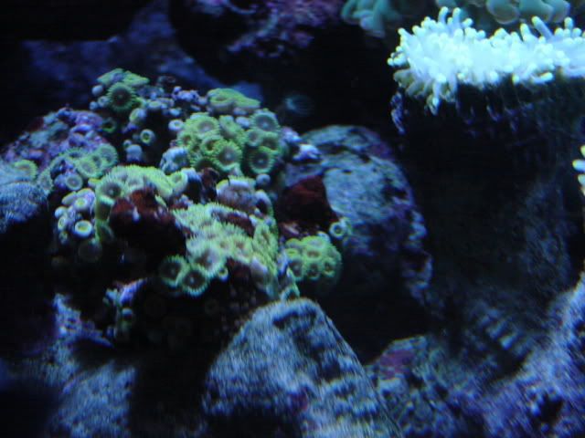 DSC09025.jpg