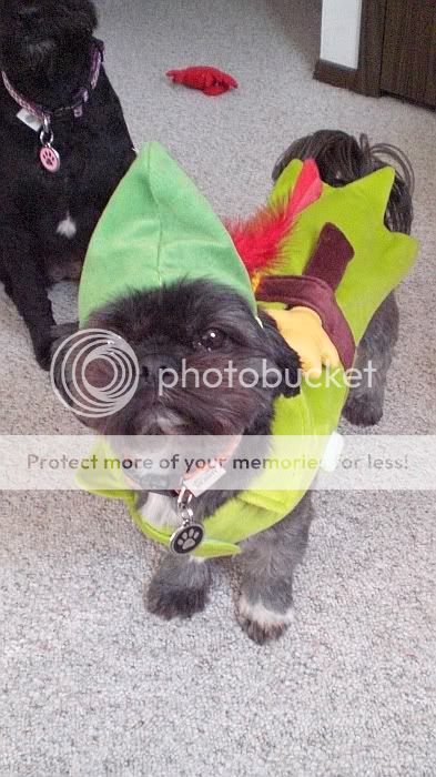 Bhalloween09.jpg