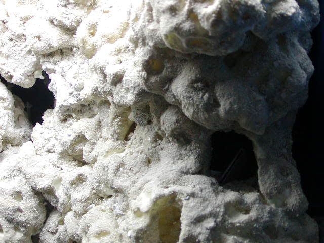 P1010009-18.jpg