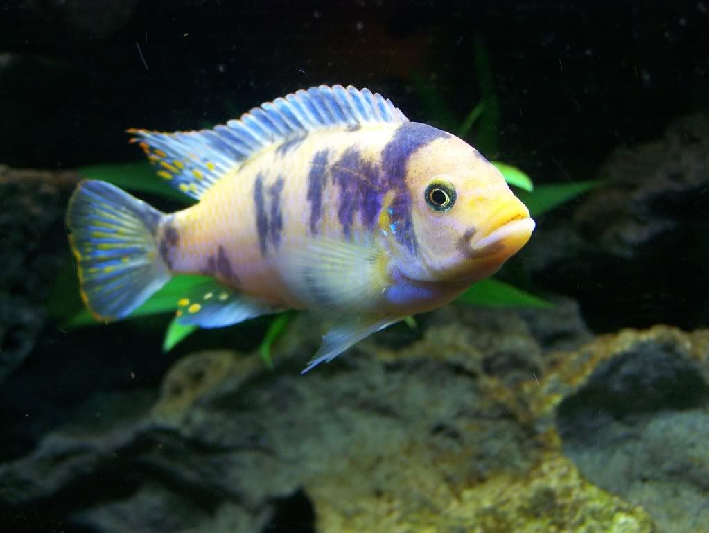 100_2885.jpg