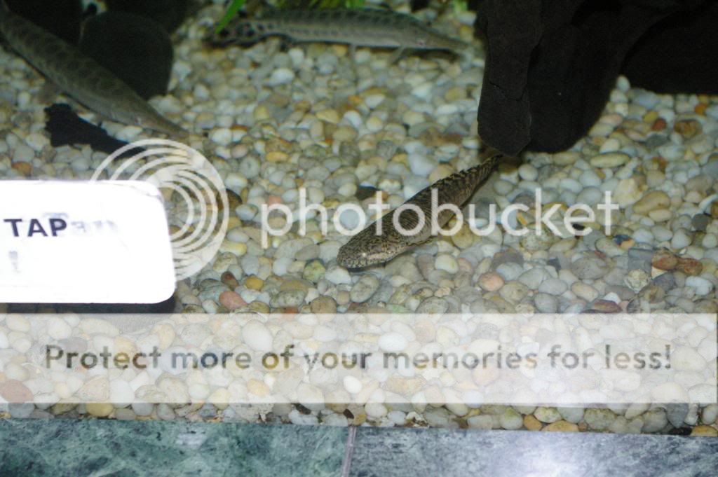 IMGP6273.jpg