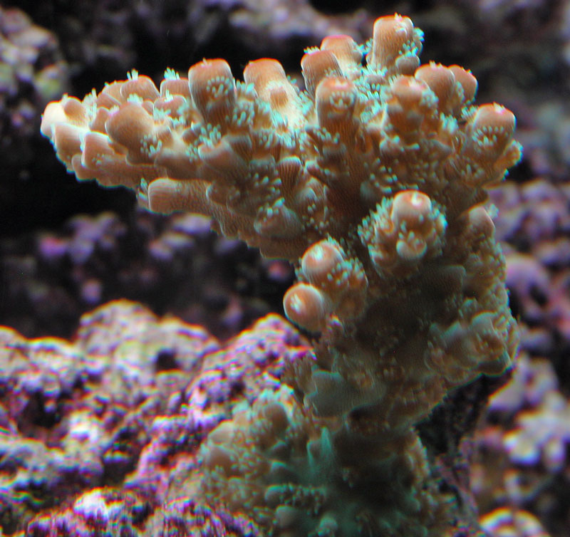 3549659373_f9f0c4d083_o.jpg