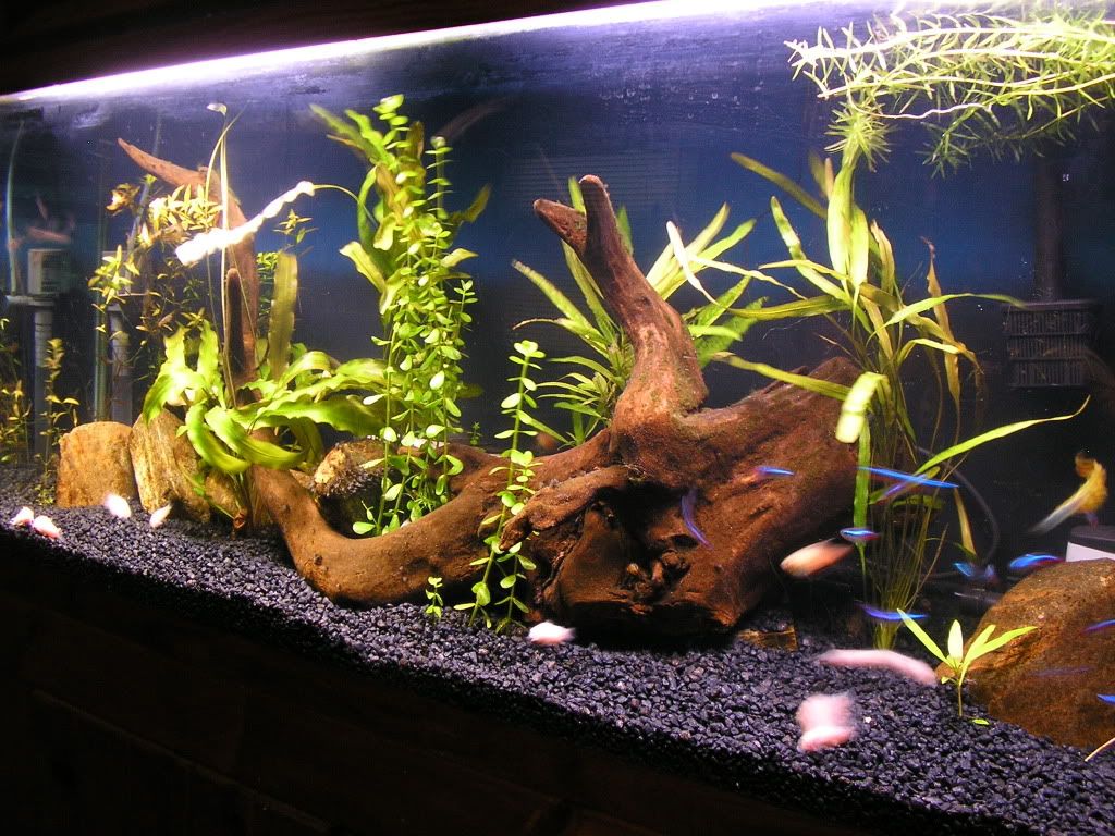 55g6-18-09.jpg