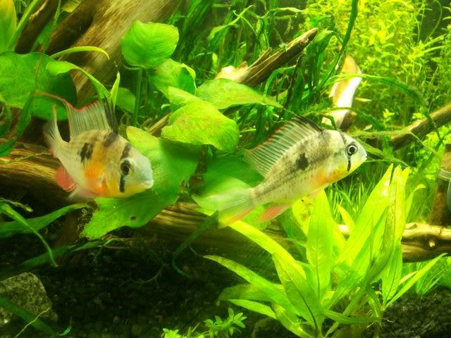 100_3749.jpg
