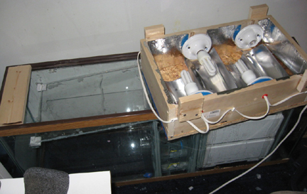 UserCardBoardBoxProcessorOnMFT-4.jpg